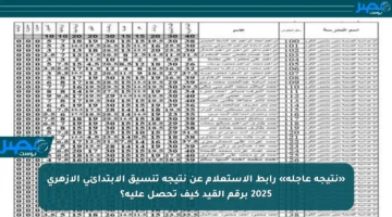 «نتيجة عاجلة» رابط الاستعلام عن نتيجة تنسيق الابتدائي الأزهري 2025 برقم القيد كيف تحصل عليه؟